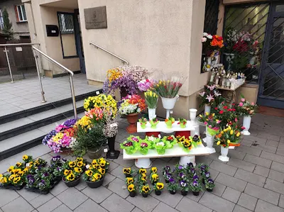 Kwiaciarnia Chryzantema